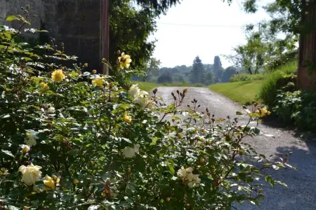 Maison de vacances - CHILLEURS-AUX-BOIS, Belle maison de vacances à Chilleurs-aux-Bois avec jardin - Photo 20