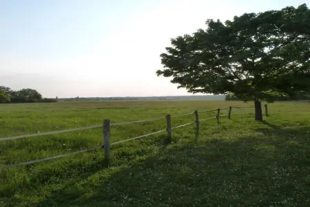 Maison de vacances - CHILLEURS-AUX-BOIS, Belle maison de vacances à Chilleurs-aux-Bois avec jardin - Photo 22