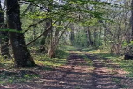 Maison de vacances - CHILLEURS-AUX-BOIS, Belle maison de vacances à Chilleurs-aux-Bois avec jardin - Photo 23