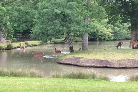 Maison de vacances - CHILLEURS-AUX-BOIS, Belle maison de vacances à Chilleurs-aux-Bois avec jardin - Photo 26