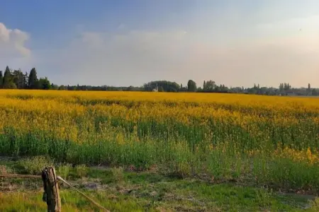 Maison de vacances - CHILLEURS-AUX-BOIS, Belle maison de vacances à Chilleurs-aux-Bois avec jardin - Photo 27