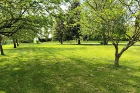 Maison de vacances - CHILLEURS-AUX-BOIS, Belle maison de vacances à Chilleurs-aux-Bois avec jardin - Photo 28