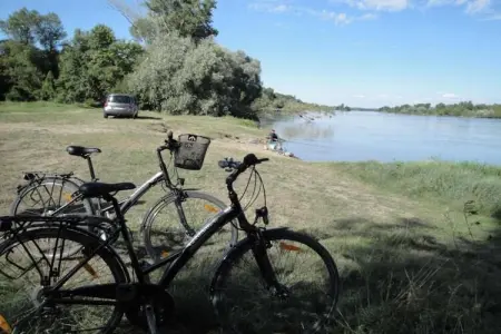 Maison de vacances - CHILLEURS-AUX-BOIS, Belle maison de vacances à Chilleurs-aux-Bois avec jardin - Photo 33