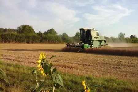 Maison de vacances - CHILLEURS-AUX-BOIS, Belle maison de vacances à Chilleurs-aux-Bois avec jardin - Photo 34