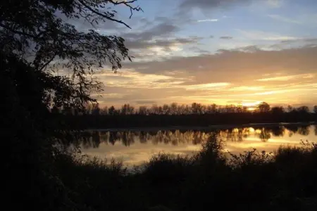 Maison de vacances - CHILLEURS-AUX-BOIS, Belle maison de vacances à Chilleurs-aux-Bois avec jardin - Photo 35