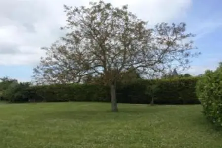 Maison de vacances - CHILLEURS-AUX-BOIS, Belle maison de vacances à Chilleurs-aux-Bois avec jardin - Photo 37