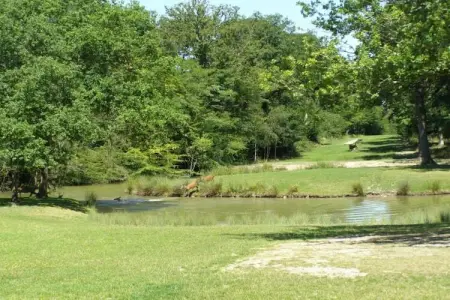 Maison de vacances - CHILLEURS-AUX-BOIS, Belle maison de vacances à Chilleurs-aux-Bois avec jardin - Photo 39