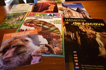 Maison de vacances Rueyres, Charmante maison de vacances à Rueyres avec piscine - Photo 36