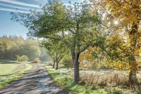 Le Repos près de Dordogne et Cahors, Villa de luxe à Cazals avec piscine - Photo 33
