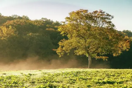 Magnifique maison 17ème siècle, Maison de vacances ancienne avec jardin à Saint-Caprais - Photo 21