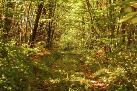 Magnifique maison 17ème siècle, Maison de vacances ancienne avec jardin à Saint-Caprais - Photo 22