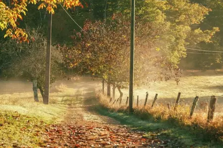 Magnifique maison 17ème siècle, Maison de vacances ancienne avec jardin à Saint-Caprais - Photo 26