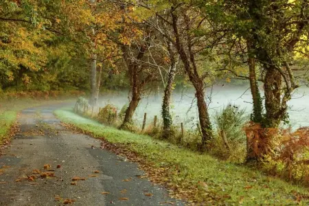 Magnifique maison 17ème siècle, Maison de vacances ancienne avec jardin à Saint-Caprais - Photo 30