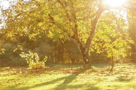 Maison de vacances Cazals, Maison de vacances confortable avec terrasse à Cazalswith - Photo 24