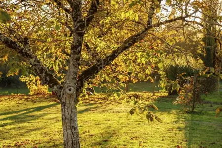 Maison de vacances Cazals, Maison de vacances confortable avec terrasse à Cazalswith - Photo 25