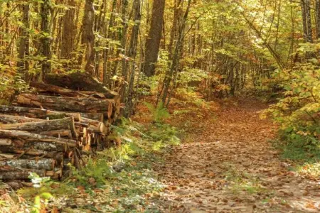 Maison de vacances Cazals, Maison de vacances confortable avec terrasse à Cazalswith - Photo 37