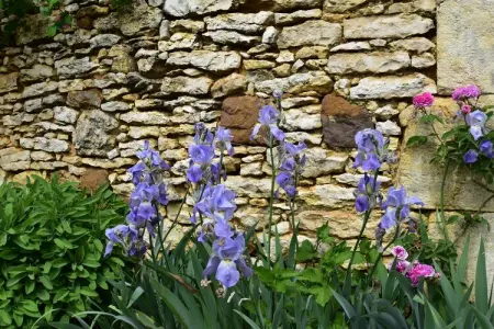 Maison belle vue, Maison de vacances à Cazals en France avec jardin privé - Photo 25
