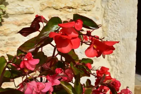 Maison de vacances Uzech, Maison de vacances spacieuse avec piscine privée à Uzech - Photo 38