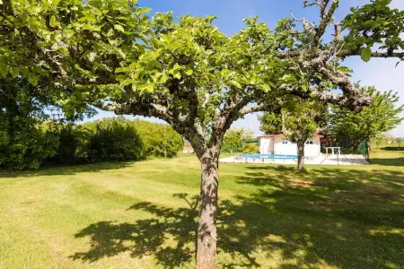 Tournesol, Bungalow ensoleillé avec piscine privée à Nadaillac-de-Rouge - Photo 19