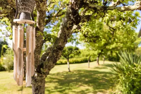Tournesol, Bungalow ensoleillé avec piscine privée à Nadaillac-de-Rouge - Photo 26