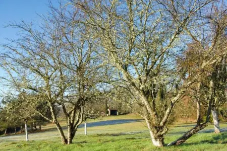 Tournesol, Bungalow ensoleillé avec piscine privée à Nadaillac-de-Rouge - Photo 40
