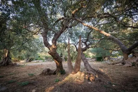 La Boulangerie, Gîte confortable à Fresville avec jardin - Photo 24