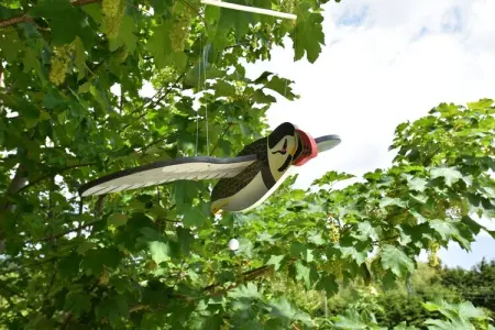 Gite Quineville 4 pers Belle Vue, Superbe maison de vacances à Quinéville près de la plage - Photo 35