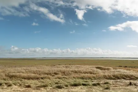 Rayon Vert, Belle maison de vacances à Saint-Germain-sur-Ay avec jardin - Photo 29
