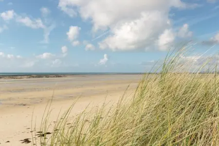 Rayon Vert, Belle maison de vacances à Saint-Germain-sur-Ay avec jardin - Photo 30