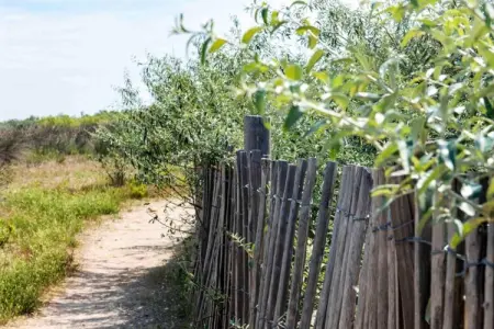 Maison des Vacances Ravenoville, Jolie maison à Ravenoville en France près de la plage - Photo 31
