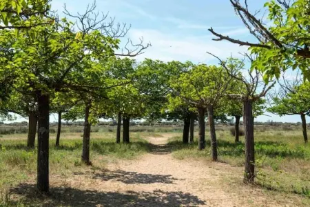 Maison des Vacances Ravenoville, Jolie maison à Ravenoville en France près de la plage - Photo 32