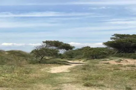 Maison des Vacances Ravenoville, Jolie maison à Ravenoville en France près de la plage - Photo 38