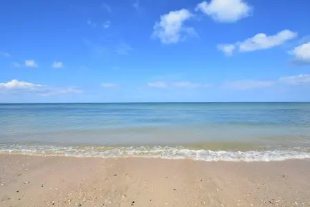 Beach House Pieds dans l eau 4 pers, Belle maison de vacances à Ravenoville avec cour intérieure - Photo 10