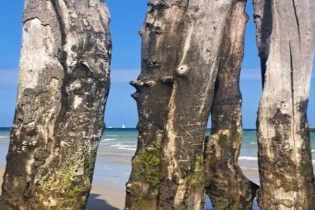 Heslonniere, Agréable maison de vacances au Mesnil-Boeufs avec jardin, calme, sans vis à vis - Photo 26