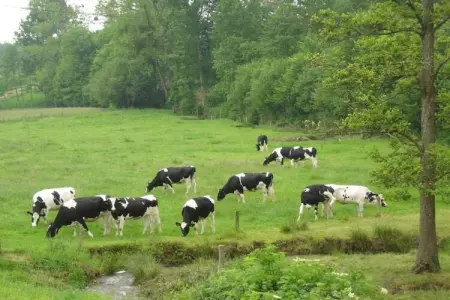 Heslonniere, Agréable maison de vacances au Mesnil-Boeufs avec jardin, calme, sans vis à vis - Photo 35