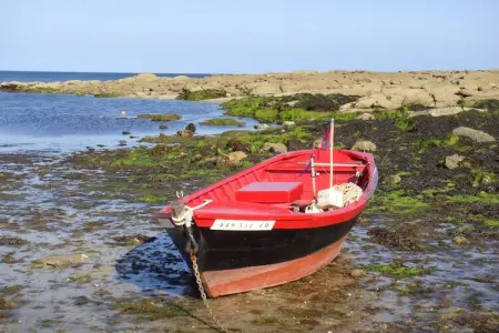 Maison de la Cosnadière, Maison de vacances paisible jardin à Saint-Rémy-des-Landes - Photo 19