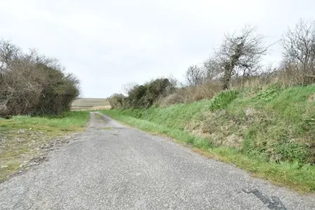 Maison de la Cosnadière, Maison de vacances paisible jardin à Saint-Rémy-des-Landes - Photo 20