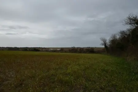 Maison de la Cosnadière, Maison de vacances paisible jardin à Saint-Rémy-des-Landes - Photo 21