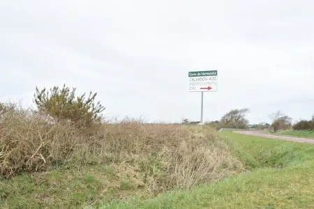 Maison de la Cosnadière, Maison de vacances paisible jardin à Saint-Rémy-des-Landes - Photo 26