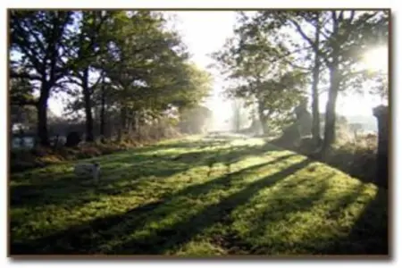 Maison de vacances St Laurent des Mortiers, Maison de vacances avec jardin dans la Loire, France - Photo 34