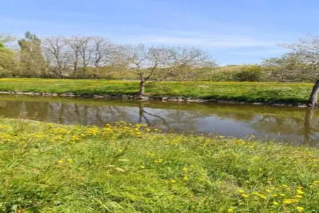 La Juquaise, Maison de vacances à Saint-Laurent-des-Mortiers avec jardin - Photo 22