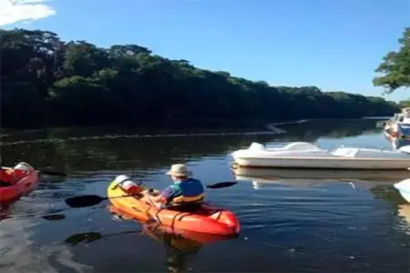 La Juquaise, Maison de vacances à Saint-Laurent-des-Mortiers avec jardin - Photo 24