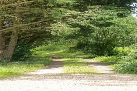La Juquaise, Maison de vacances à Saint-Laurent-des-Mortiers avec jardin - Photo 37