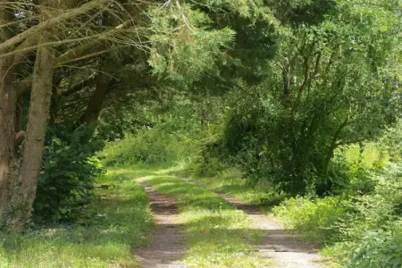 La Juquaise, Maison de vacances à Saint-Laurent-des-Mortiers avec jardin - Photo 39