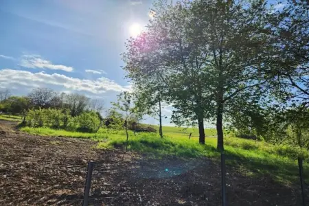 Maison de vacances - NETTANCOURT, Maison avec piscine sur le domaine d'un château, Nettancourt - Photo 30
