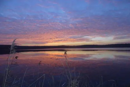 Maison de vacances - NETTANCOURT, Maison avec piscine sur le domaine d'un château, Nettancourt - Photo 31