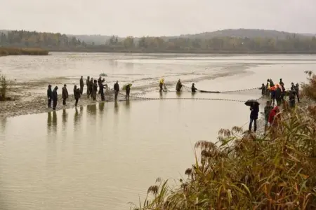 Maison de vacances - NETTANCOURT, Maison avec piscine sur le domaine d'un château, Nettancourt - Photo 32
