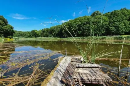 Maison de vacances - NETTANCOURT, Maison avec piscine sur le domaine d'un château, Nettancourt - Photo 33