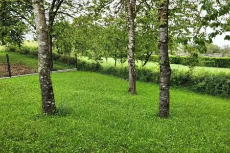 Maison de vacances - NETTANCOURT, Maison avec piscine sur le domaine d'un château, Nettancourt - Photo 35