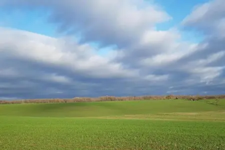 Maison de vacances - NETTANCOURT, Maison avec piscine sur le domaine d'un château, Nettancourt - Photo 36